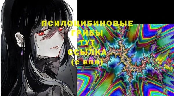 apvp Абаза