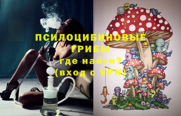 индика Абинск