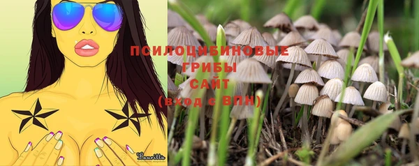 apvp Абаза